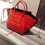 Celine Tan Python Phantom Bag - Prefall 2014