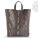 Celine Python Cabas Bag