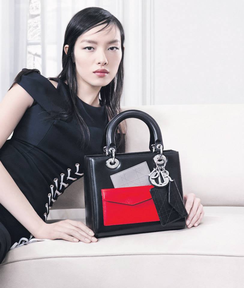 Lady Dior with Cargo Pockets - Fall 2014
