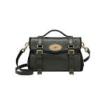 Mulberry Evergreen/Black Panel Alexa Bag