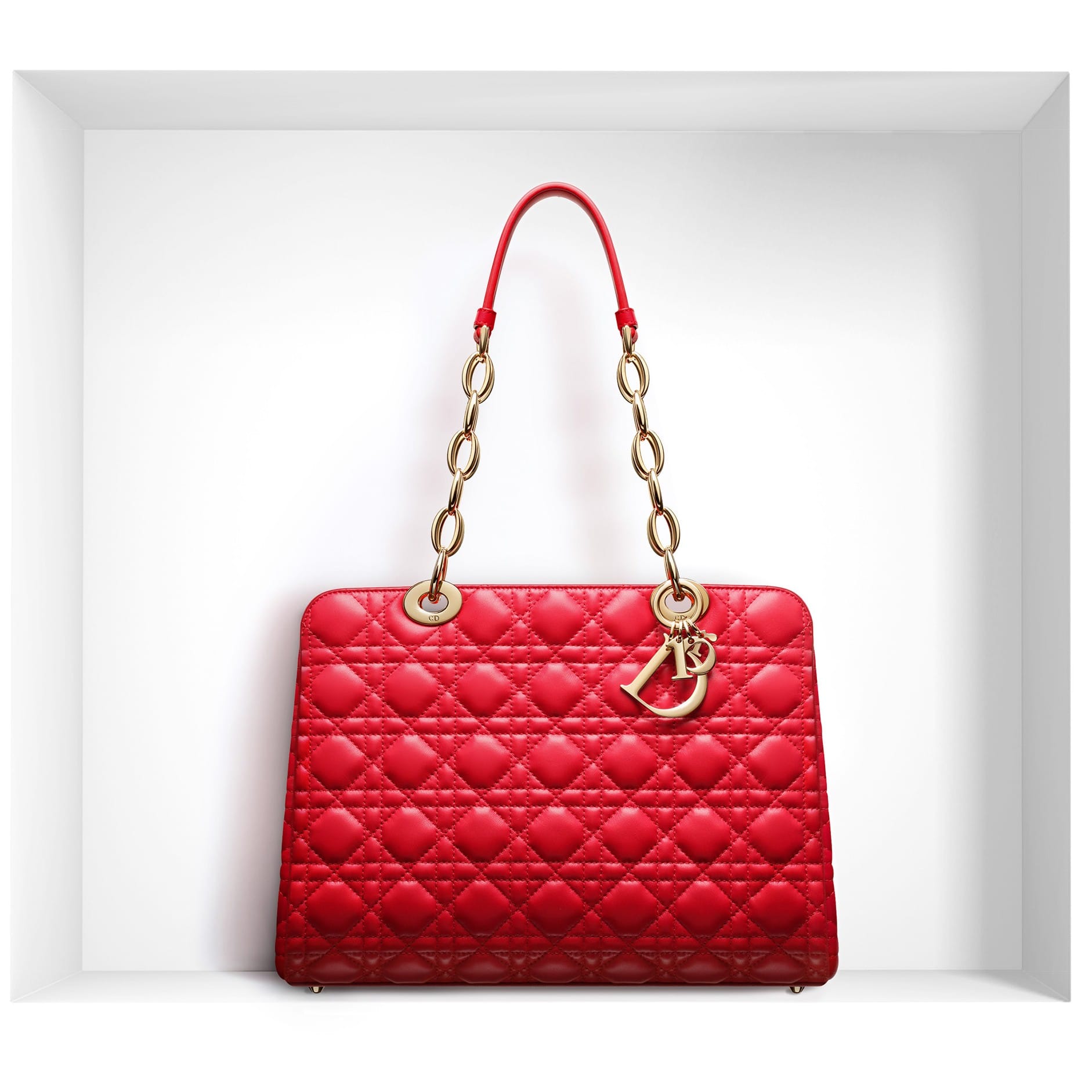 Dior's Lunar New Year Bags Collection - Spotted Fashion