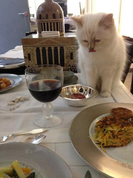 Karl Lagerfeld Choupette Cat Dining