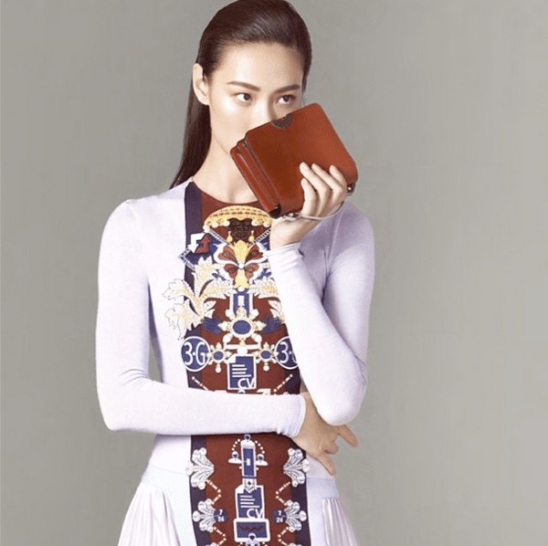 Moynat clearance tango bag