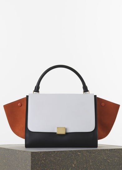 Celine Triomphe Bucket Bag Micro