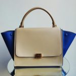 Celine Khaki Trapeze Bag with Blue Wings All Leather - Fall Winter 2014