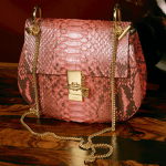 Chloe Paradise Pink Python Drew Bag