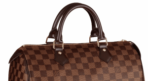 Louis Vuitton Speedy Bag New Version 1