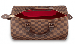 Louis Vuitton Speedy Bag Old Version 1
