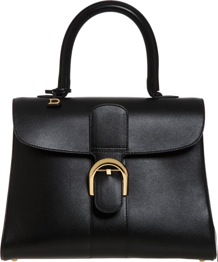 Delvaux Brillant Tote Bag Reference Guide - Spotted Fashion