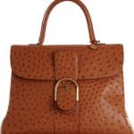 Delvaux Brandy Ostrich Brillant GM Bag