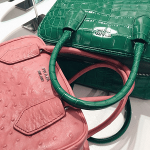 Prada Pink Ostrich and Green Crocodile Inside Bags