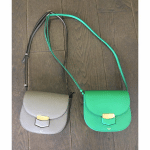 Celine Grey and Green Trotteur Bags