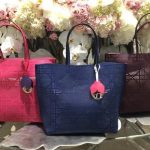 Dior Hot Pink/Blue/Violet Dioriva Bags