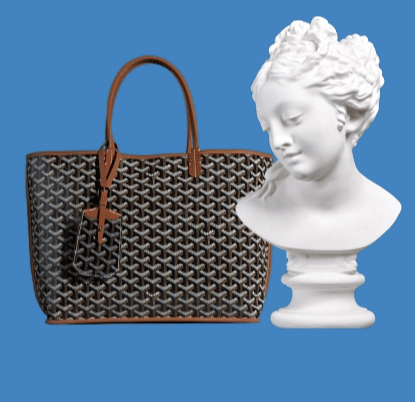 The Goyard Anjou Bag