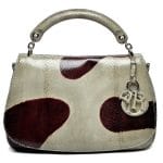 Dior Gray/Brown Two-Tone Python Dune Small Bag