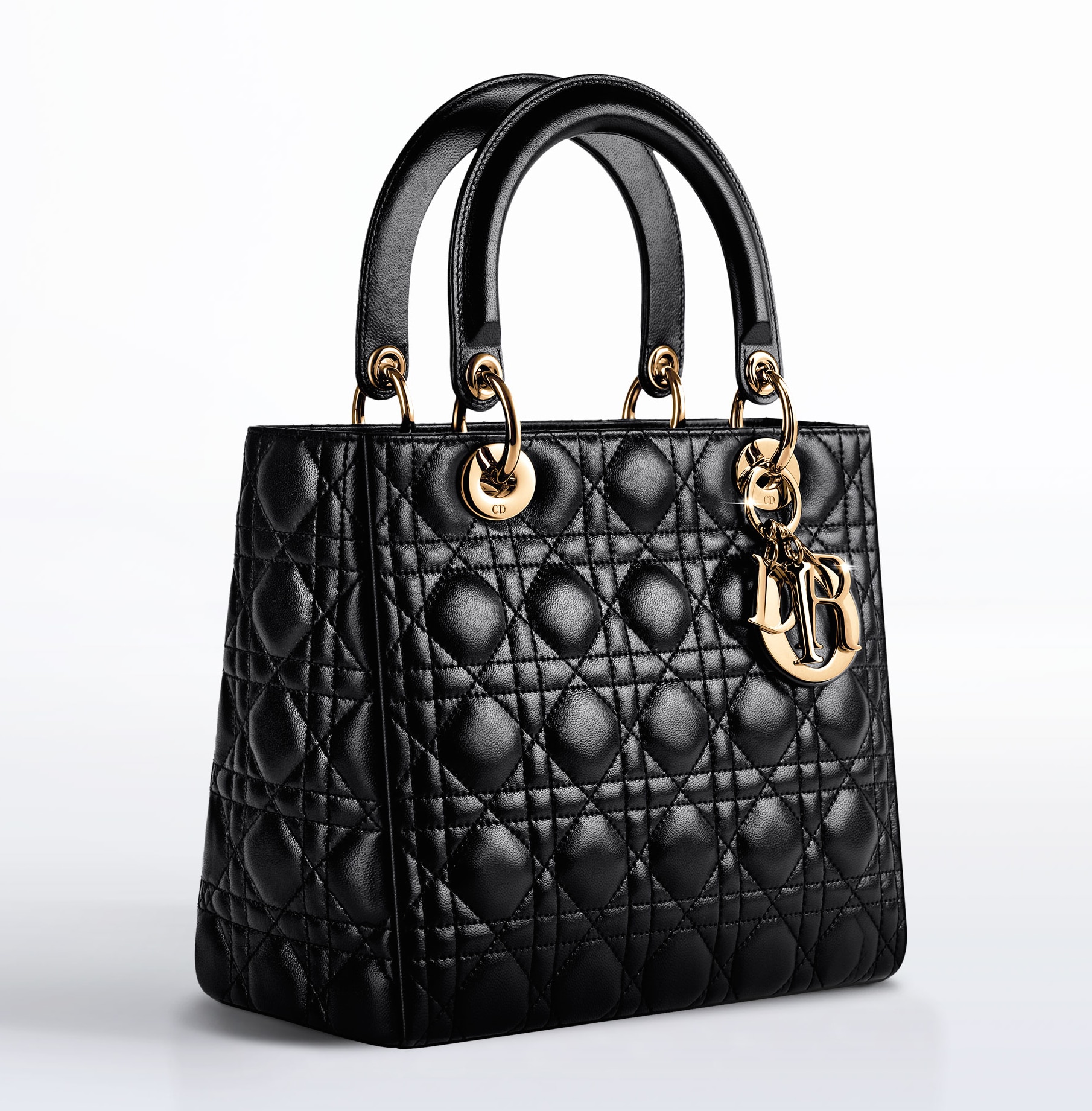 Lady Dior Bag Reference Guide – Spotted Fashion