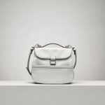 Proenza Schouler White Mini Kent Bag