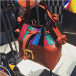 Paula Cademartori Multicolor Secchiello Bag - Spring 2016