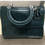 Dior Dark Green Python Be Dior Bag - Cruise 2016