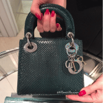 Dior Dark Green Python Lady Dior Mini Bag - Cruise 2016