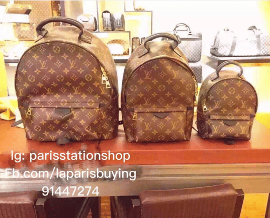 Louis Vuitton Palm Springs Backpack Bag Reference Guide - Spotted Fashion