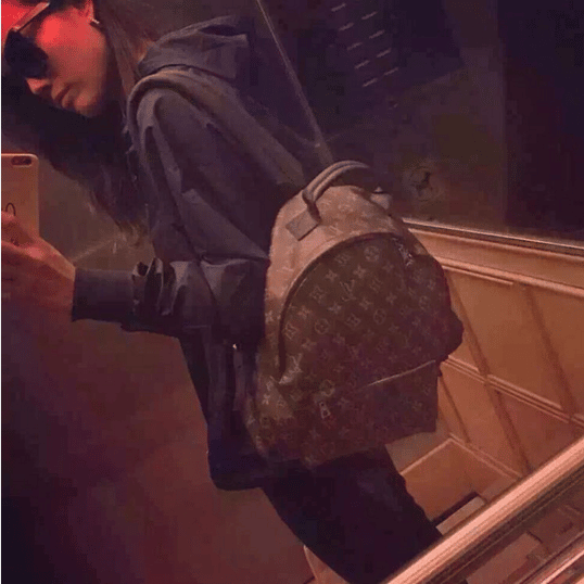 Bag Review: Louis Vuitton Palm Springs BackPack MM