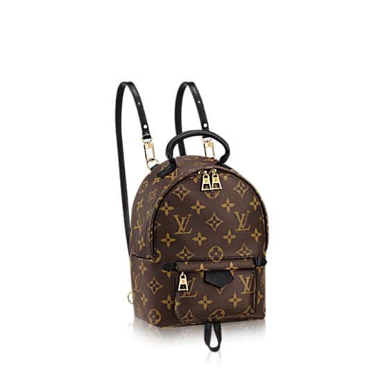 Louis Vuitton Palm Springs Backpack Bag Reference Guide - Spotted