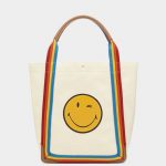 Anya Hindmarch Stone Canvas Wink Pont Tote Bag