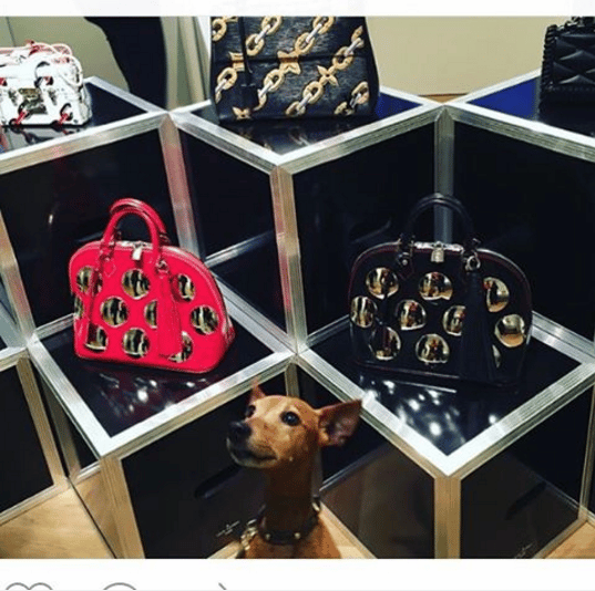 Preview of the Louis Vuitton Spring/Summer 2016 Bag Collection