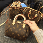 Louis Vuitton Nano Bags