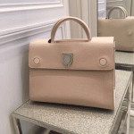 Dior Beige Diorever Tote Bag