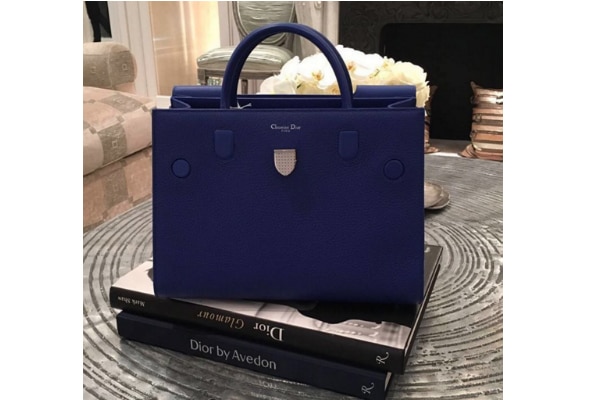 dior diorever bag