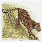 Hermes Panthera Pardus Silk Twill Scarf 90