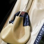 Celine Beige/Black Hobo Bag - Fall 2016