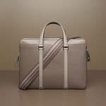 Delvaux Camaieux Tourterelle President II Bag