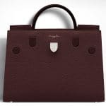 Dior Mahogany Brown Diorever Large Bag