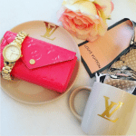 Louis Vuitton Lucie Pouch 2