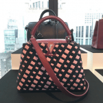 Louis Vuitton Pink/Black Woven Capucines Bag - Pre-Fall 2016