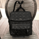 Dior Black Stardust Backpack Large Bag