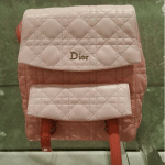 Dior Orange/Pink Stardust Backpack Small Bag
