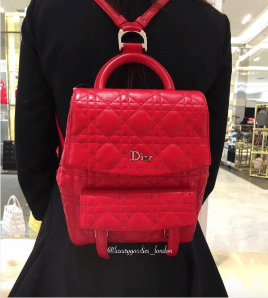 Dior Stardust Backpack Bag Reference Guide - Spotted Fashion