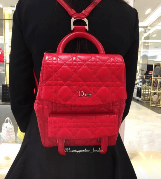 dior stardust backpack