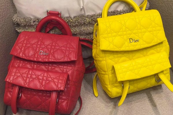 Dior Stardust Backpack Bag Reference Guide Spotted Fashion