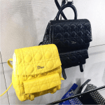Dior Yellow Small and Black Large Stardust Backpack Bags