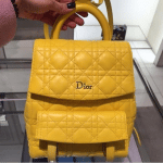 Dior Yellow Stardust Backpack Small Bag