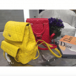 Dior Yellow and Red Stardust Backpack Small Bags