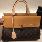 Louis Vuitton Epice Monogram Canvas Venus Bag 3