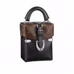Louis Vuitton Smooth Calfskin and Monogram Canvas Camera Box Bag