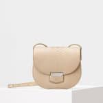 Celine Chalk Python Small Trotteur Bag