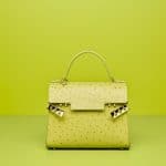 Delvaux Absinthe Autruche Tempete MM Bag